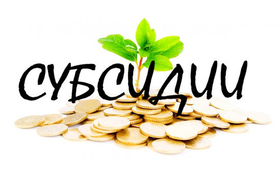 О проведении отбора получателей субсидий, имеющих право на получение из бюджета Ордынского района Новосибирской области субсидий юридическим лицам, индивидуальным предпринимателям, а также физическим лицам-производителям товаров, работ, услуг, осуществляю