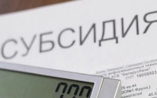 О проведении отбора получателей субсидий